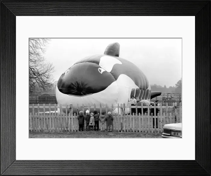 Framed Print : 100 Foot Balloon: Children look through the fence at Valentine