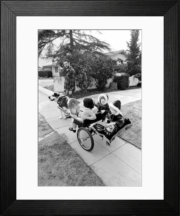 Framed Print : St. Bernards dog cart. January 1975 75-00282-002 Framed Print : St. Bernards dog cart. January 1975 75-00282-002