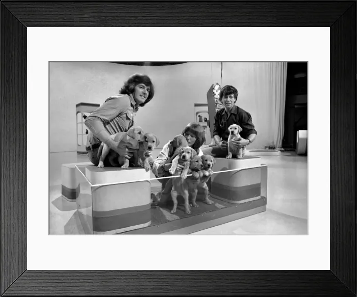 Framed Print : Blue Peter appeal for blind smashes through target. Lesley Judd Framed Print : Blue Peter appeal for blind smashes through target. Lesley Judd
