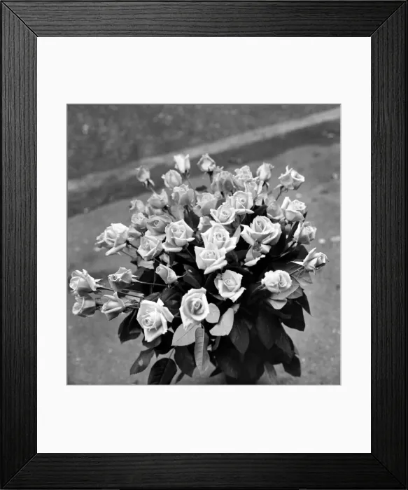 Framed Print : Flowers - Bunch of Roses'. January 1975 75-00040 Framed Print : Flowers - Bunch of Roses'. January 1975 75-00040