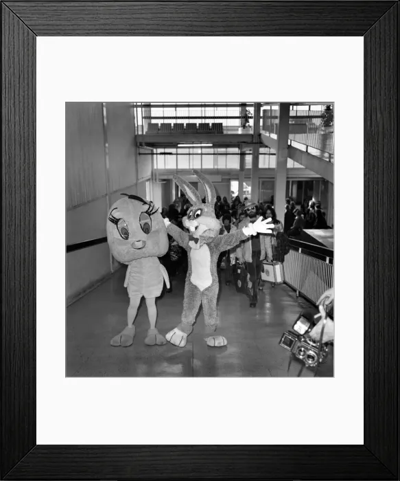 Framed Print : Bugs Bunny and Tweety Pie. January 1975 75-00235