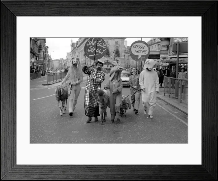 Framed Print : Piccadilly Farmyard. The Last Straw'at the almost free theatre Framed Print : Piccadilly Farmyard. The Last Straw'at the almost free theatre