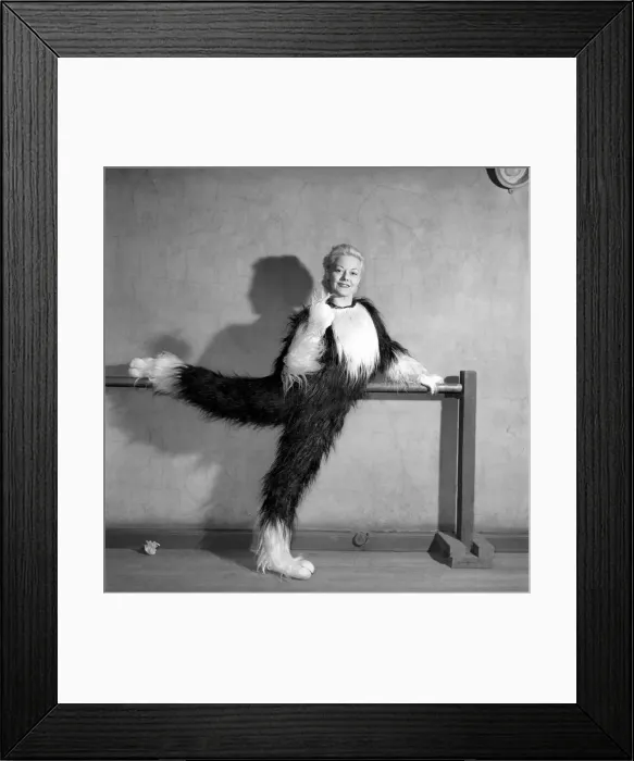 Framed Print : Pantomime cat: Actress Jeanie Craig as Tommy the cat in Dick Whittington. December 1956