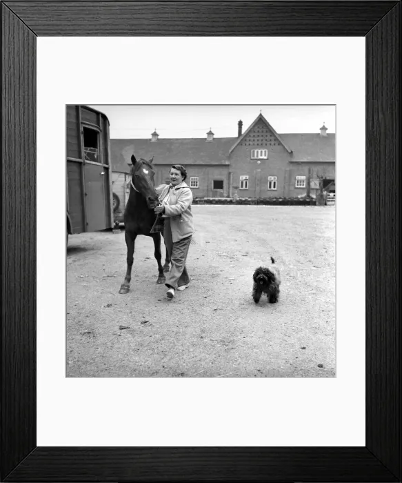 Framed Print : Mrs. Moss a livestock farmer seen here with her horse and pet dog in the farm yard Framed Print : Mrs. Moss a livestock farmer seen here with her horse and pet dog in the farm yard