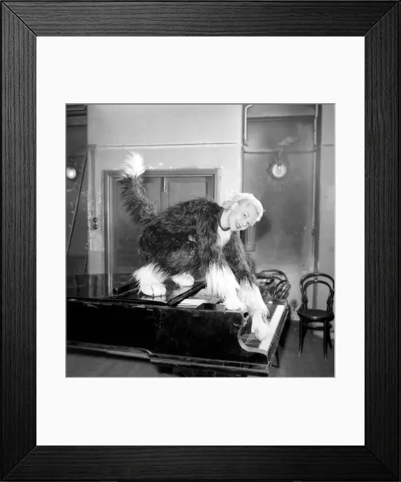 Framed Print : Pantomime cat: Actress Jeanie Craig as Tommy the cat in Dick Whittington. December 1956 Framed Print : Pantomime cat: Actress Jeanie Craig as Tommy the cat in Dick Whittington. December 1956