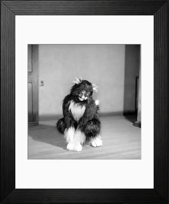 Framed Print : Pantomime cat: Actress Jeanie Craig as Tommy the cat in Dick Whittington. December 1956 Framed Print : Pantomime cat: Actress Jeanie Craig as Tommy the cat in Dick Whittington. December 1956