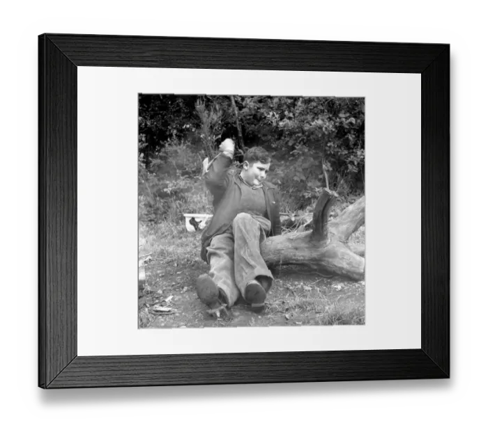 Framed Print : Disability and Youth: Tommy Hoare the legless boy scout seen here enjoying camping Framed Print : Disability and Youth: Tommy Hoare the legless boy scout seen here enjoying camping