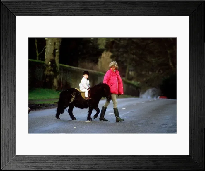 Framed Print : Princess Diana leading a young Prince Harry and his shetland pony across the road Framed Print : Princess Diana leading a young Prince Harry and his shetland pony across the road