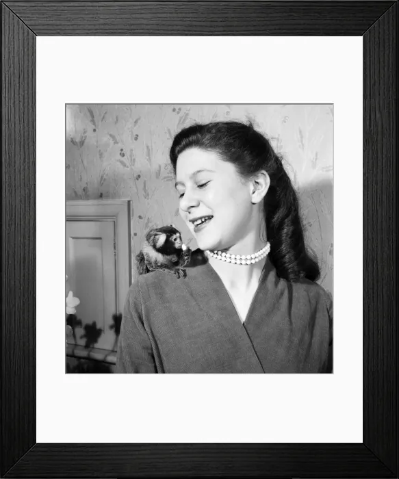 Framed Print : Jack Goodman and family with TV animals. March 1957 A331-008 Framed Print : Jack Goodman and family with TV animals. March 1957 A331-008
