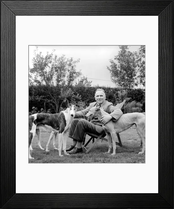Framed Print : Man and Greyhounds: Frank Sanderson seen here at his St
