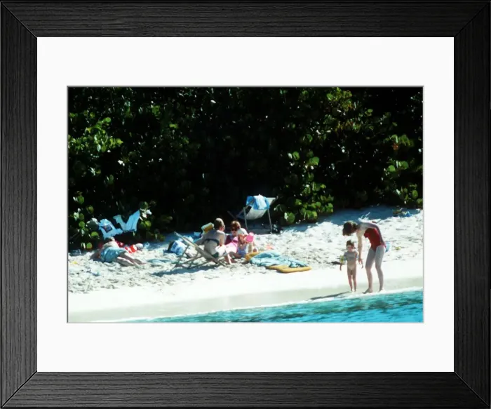 Framed Print : Diana, Princess of Wales with her sons Prince Harry and Prince William as well as her Framed Print : Diana, Princess of Wales with her sons Prince Harry and Prince William as well as her