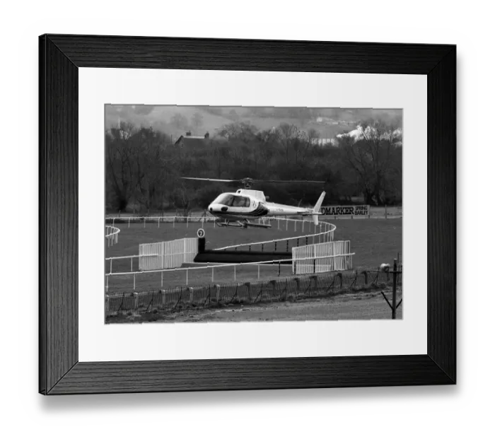 Framed Print : Here are a pair of the fastest Colts ever to race over the hallowed turf of Cheltenham Framed Print : Here are a pair of the fastest Colts ever to race over the hallowed turf of Cheltenham
