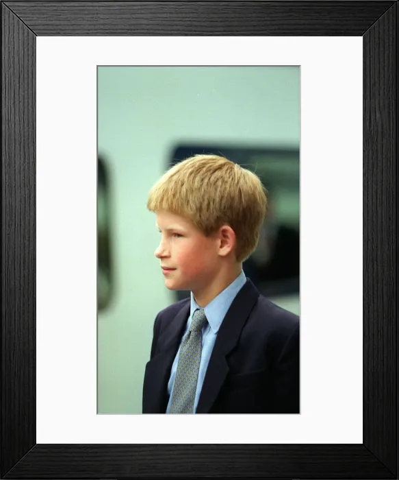 Framed Print : Prince Harry July 98 Framed Print : Prince Harry July 98