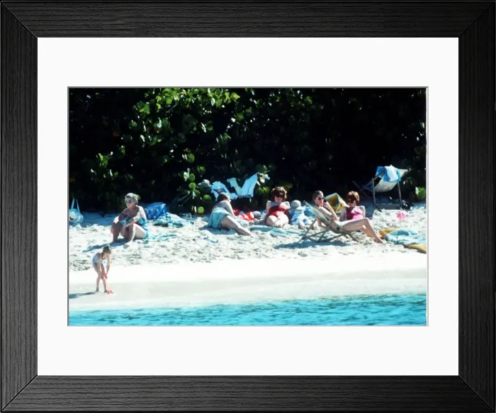 Framed Print : Diana, Princess of Wales with her sons Prince Harry and Prince William as well as her