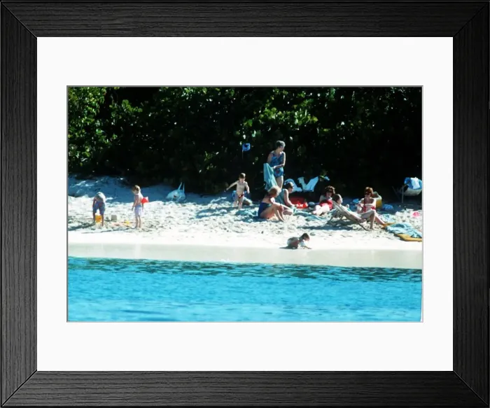 Framed Print : Diana, Princess of Wales with her sons Prince Harry and Prince Williamas well as her