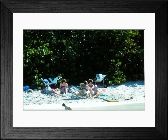 Framed Print : Diana, Princess of Wales with her sons Prince Harry and Prince William as well as her Framed Print : Diana, Princess of Wales with her sons Prince Harry and Prince William as well as her