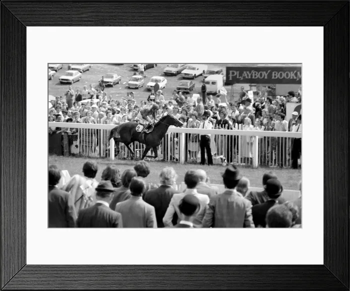 Framed Print : The Oaks at Epsom, won by jockey Willie Carson and trainer Dick Hern Framed Print : The Oaks at Epsom, won by jockey Willie Carson and trainer Dick Hern