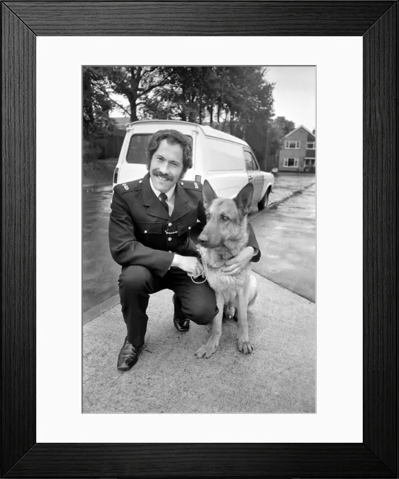 Framed Print : Police dog Musk commended by a judge at Reading after hearing how the dog had discovered