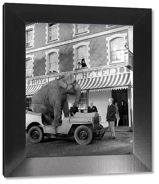 Elephant driving car. 1960 C34-002