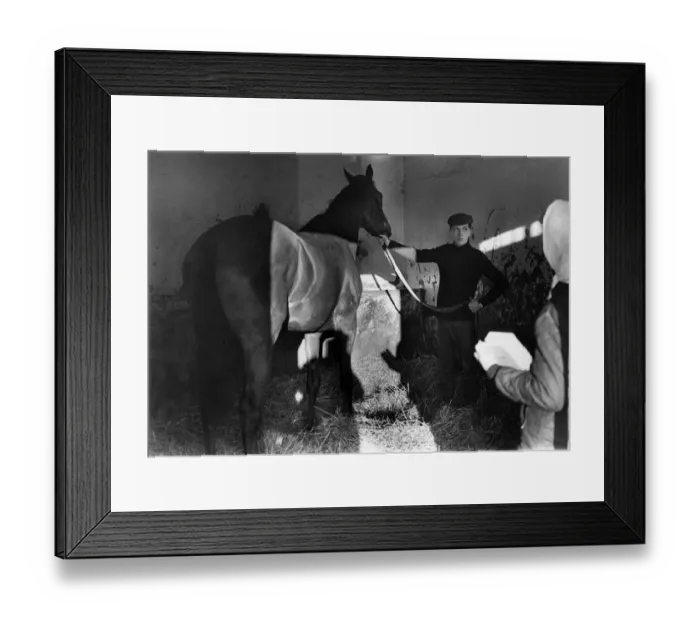 Framed Print : Vaguely Noble photographed with his lad Soapy Wild, at Newmarket, today Framed Print : Vaguely Noble photographed with his lad Soapy Wild, at Newmarket, today