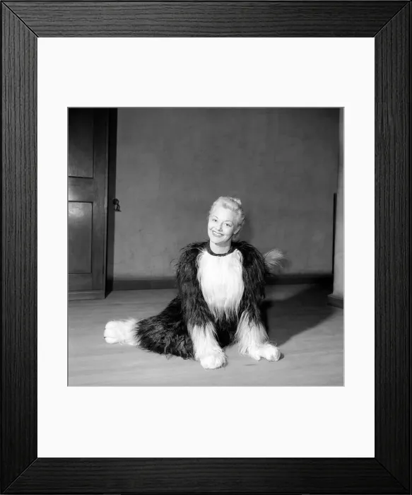 Framed Print : Pantomime cat: Actress Jeanie Craig as Tommy the cat in Dick Whittington. December 1956 Framed Print : Pantomime cat: Actress Jeanie Craig as Tommy the cat in Dick Whittington. December 1956