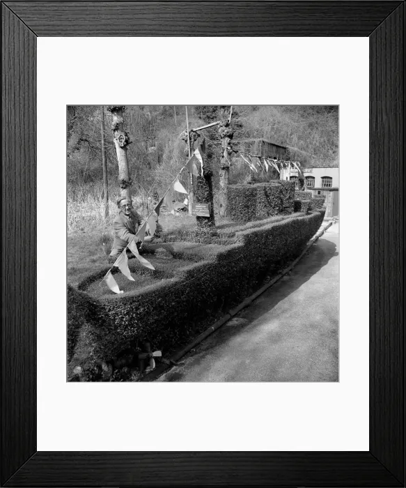 Framed Print : Garden: Humour: J. B. White of Ventnor Isle of Wight with his hedge trimmed like