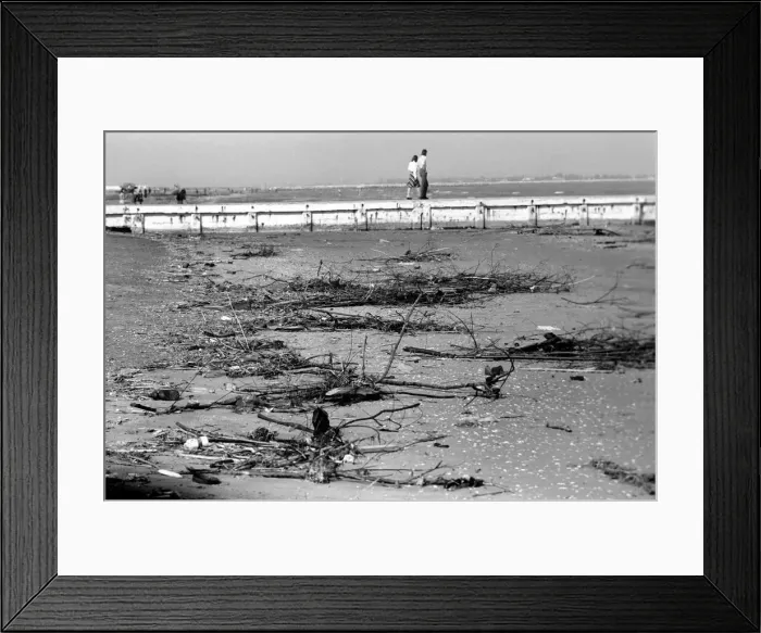Framed Print : General scenes in Venice. The pollution of the beaches. This is typical of the beaches Framed Print : General scenes in Venice. The pollution of the beaches. This is typical of the beaches