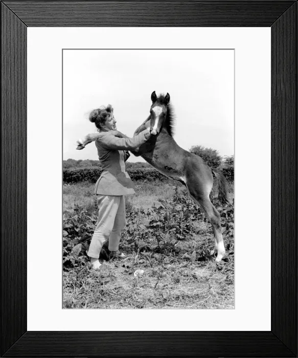 Framed Print : Pam Barrows seen here with foal called Miracle. June 1961 C65-002 Framed Print : Pam Barrows seen here with foal called Miracle. June 1961 C65-002