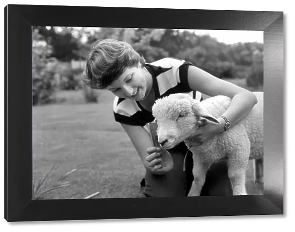 Woman feeding and grooming Larry the lamb. June 1980