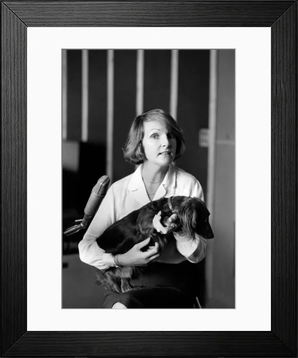 Framed Print : Actress Penelope Keith makes a record about a Dachsund dog. June 1980 80-03067-007 Framed Print : Actress Penelope Keith makes a record about a Dachsund dog. June 1980 80-03067-007