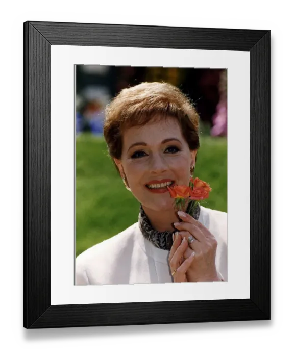 Framed Print : Julie Andrews With A Rose Named After Her AT The Chelsea Flower Show