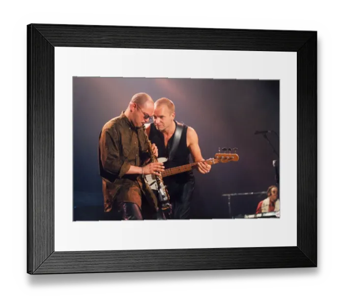 Framed Print : Lib - Singer  /  songwriter Sting in concert at the Newcastle Arena, 24th November 1996