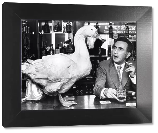 This goose likes a pint as well as the next man, but maybe he should buy his own