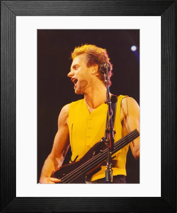 Framed Print : Lib - Singer / songwriter Sting in concert at Whitley Bay Ice Rink, 25th November 1991 Framed Print : Lib - Singer / songwriter Sting in concert at Whitley Bay Ice Rink, 25th November 1991