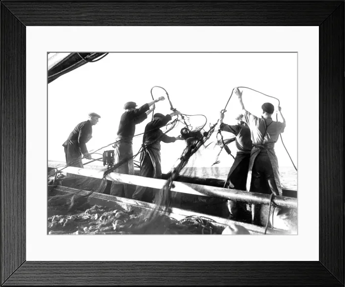 Framed Print : A herring drifters nets go overboard in 1949 Framed Print : A herring drifters nets go overboard in 1949