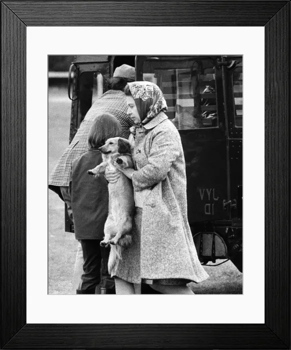 Framed Print : Queen Elizabeth II at the Windsor Horse Show. 11th May 1974 Framed Print : Queen Elizabeth II at the Windsor Horse Show. 11th May 1974