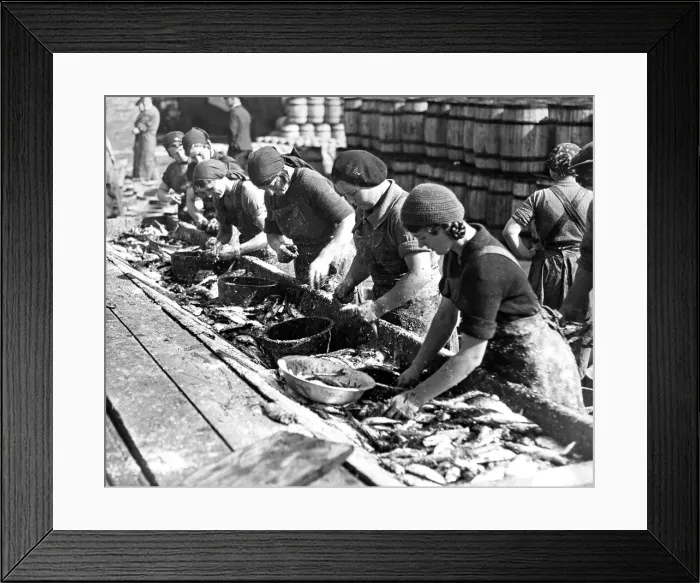 Framed Print : Fisherwomen cleaning fish on North Shields Fish Quay in 1931 Framed Print : Fisherwomen cleaning fish on North Shields Fish Quay in 1931