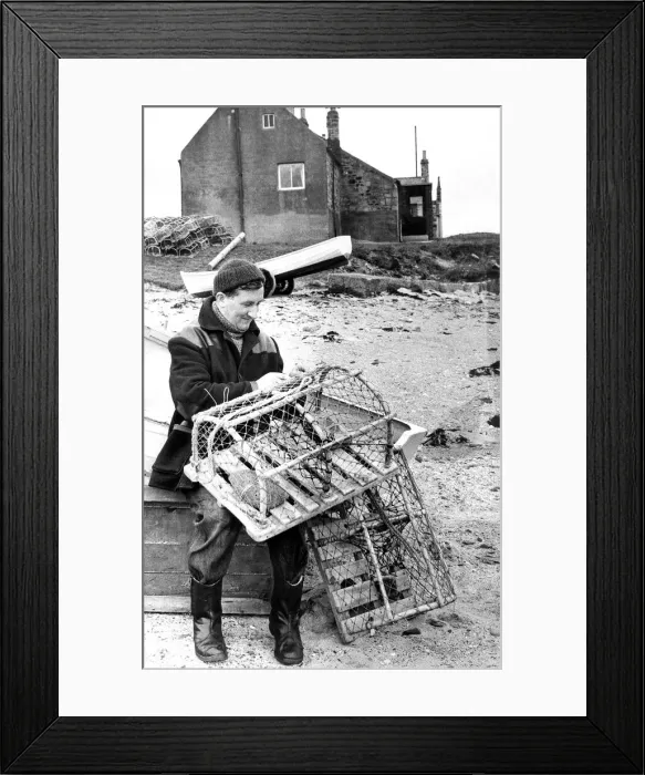 Framed Print : Fisherman George Green fixing lobster pots on the beach at Boulmen in 1970 Framed Print : Fisherman George Green fixing lobster pots on the beach at Boulmen in 1970