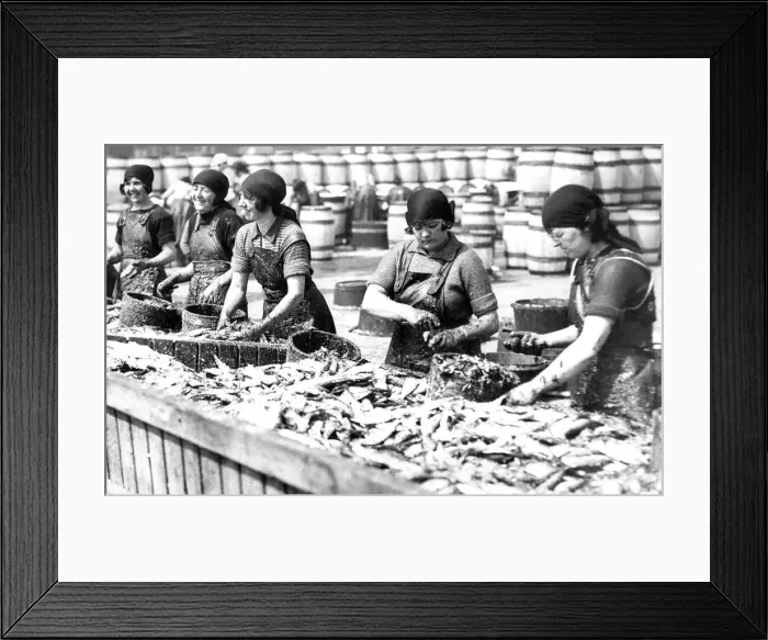 Framed Print : Fishergirls on the North Shields Fish Quay hard at work in 1931 Framed Print : Fishergirls on the North Shields Fish Quay hard at work in 1931