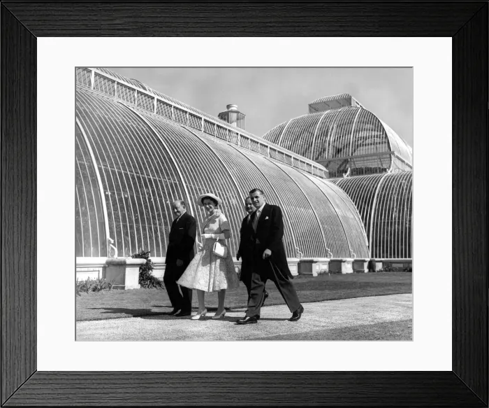 Framed Print : Queen Elizabeth II walking past the Palm House during her tour of Kew Gardens Framed Print : Queen Elizabeth II walking past the Palm House during her tour of Kew Gardens