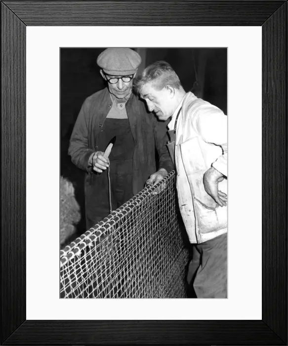 Framed Print : Mr. William Stenhouse, a net rigger is working on a net while Mr Framed Print : Mr. William Stenhouse, a net rigger is working on a net while Mr