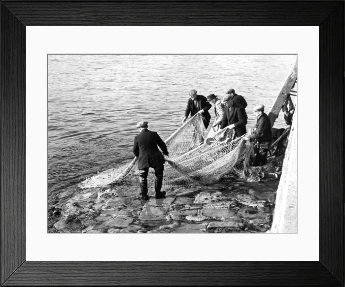 Framed Print : Fishermen on the River Tweed in Berwick hauling their net ashore after trying to catch Framed Print : Fishermen on the River Tweed in Berwick hauling their net ashore after trying to catch
