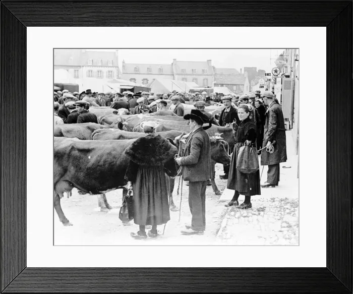 Framed Print : French Women farmers at market day in Playden, Brittany, France. 1938 Framed Print : French Women farmers at market day in Playden, Brittany, France. 1938
