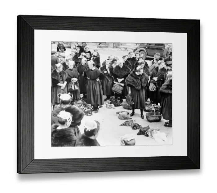 Framed Print : Pleyben Brittany France Poultry saleswomen at the open air live stock market