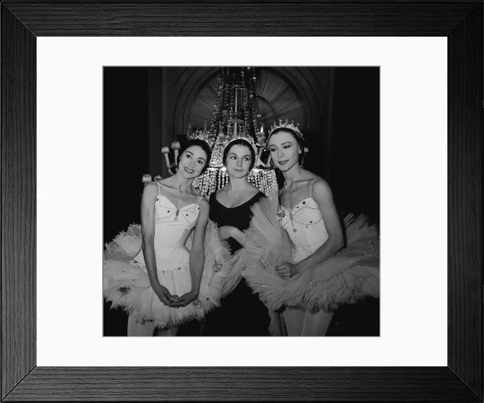 Framed Print : Margot Fonteyn at Covent Garden 1960 Dame Margot Fonteyn (1919-91 Framed Print : Margot Fonteyn at Covent Garden 1960 Dame Margot Fonteyn (1919-91