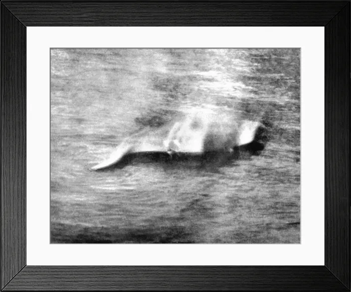 Framed Print : Loch Ness monster Nessie under water