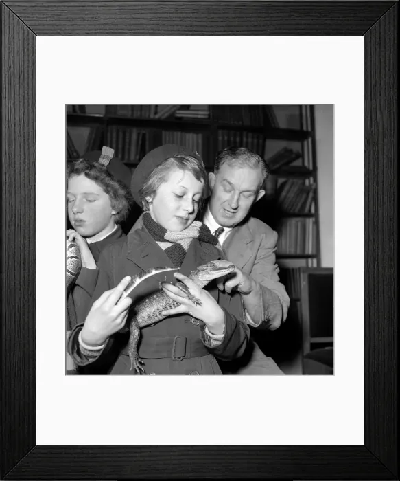 Framed Print : Childrens Lecture at the Zoo - Jack Lester seen here with a baby crocodile Framed Print : Childrens Lecture at the Zoo - Jack Lester seen here with a baby crocodile