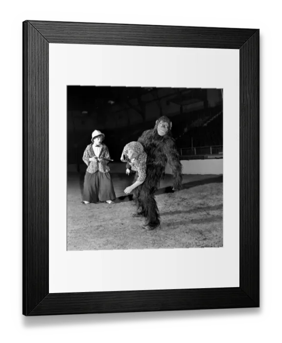 Framed Print : Circus Clowns Big game hunter Charlie tries to capture escaped gorilla Elvira