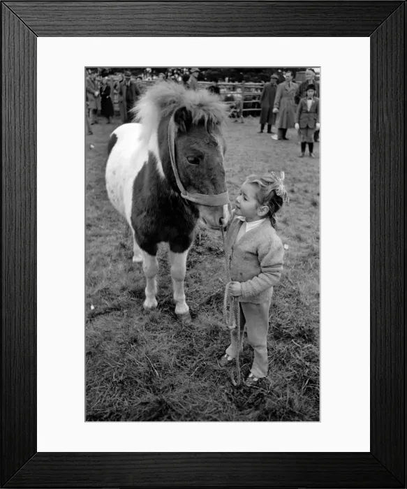 Framed Print : New forest pony sales - Brockenhurst Jane Jacobs and Patch Framed Print : New forest pony sales - Brockenhurst Jane Jacobs and Patch