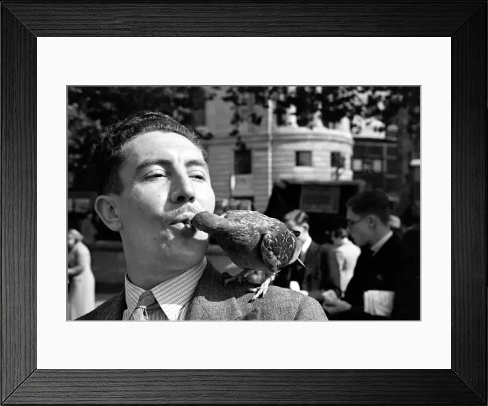 Framed Print : Pigeons in Trafalgar Square. January 1939 OL307J-001